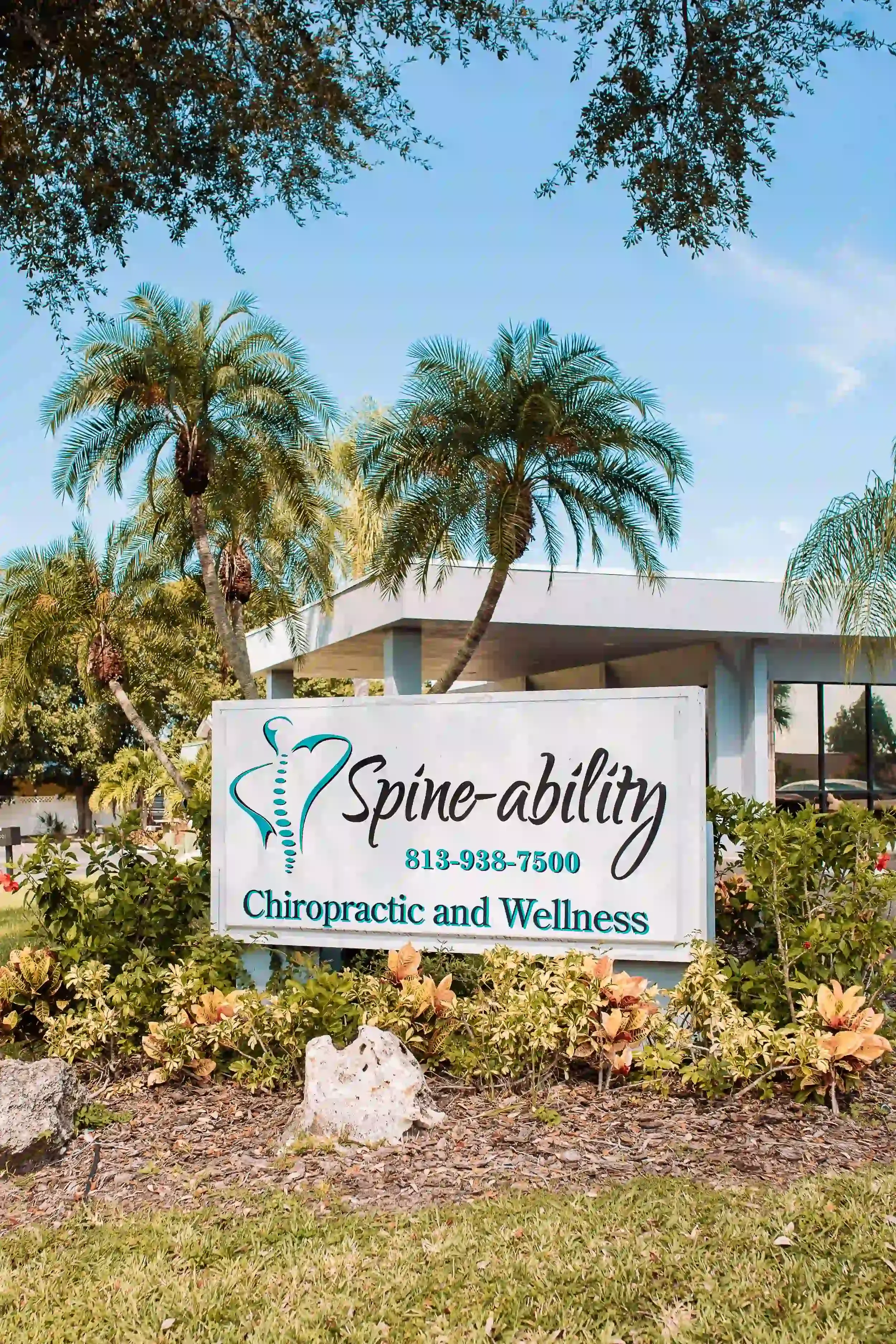 <span class="accent">Serving</span> Apollo Beach, Riverview and<span class="accent"> Surrounding</span> Hillsborough County